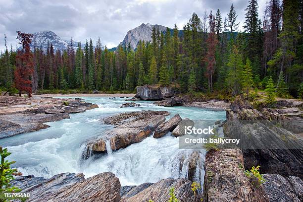 Kicking Horse River Stockfoto und mehr Bilder von Baum - Baum, Berg, Britisch-Kolumbien