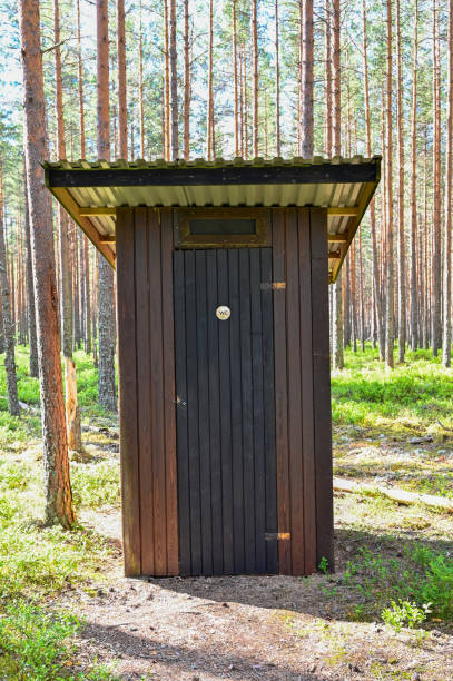 istock Out house in a forest of pine trunks 1157957270