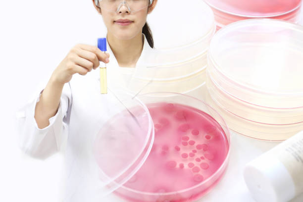 Image of research worker at the lab