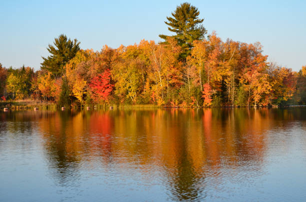 lámina de color otoño costa - foilage fotografías e imágenes de stock