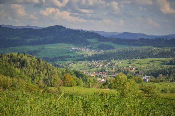 istock Beautiful spring green landscape. 1157966999