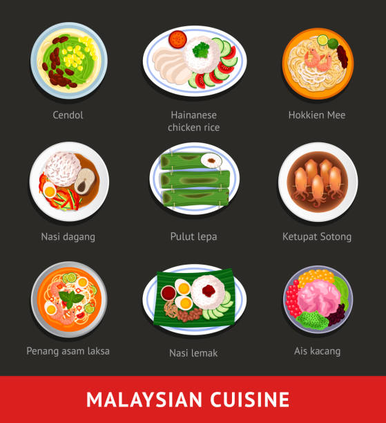 große reihe von malaysischen essen. asiatische traditionelle küche. verschiedene nationale gerichte. - singapore stock-grafiken, -clipart, -cartoons und -symbole
