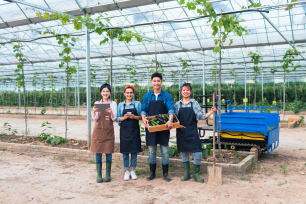 joy, harvest, cultivation, planting, pruning, organic farm, green food, friends