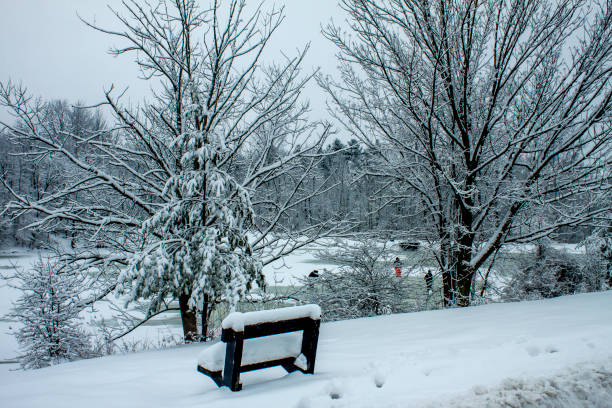 Park covered with white snow at sunny day.