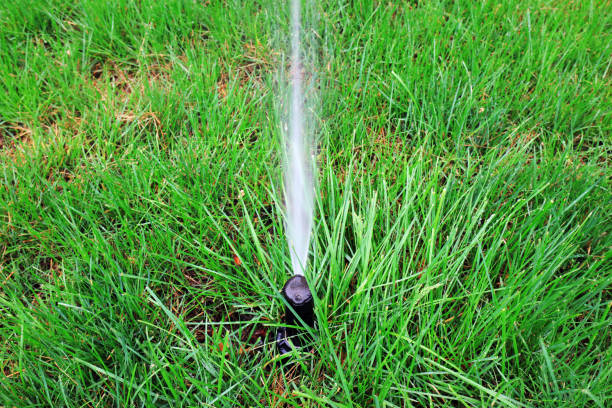istock Sprinkler irrigation facilities in the lawn 1157977942