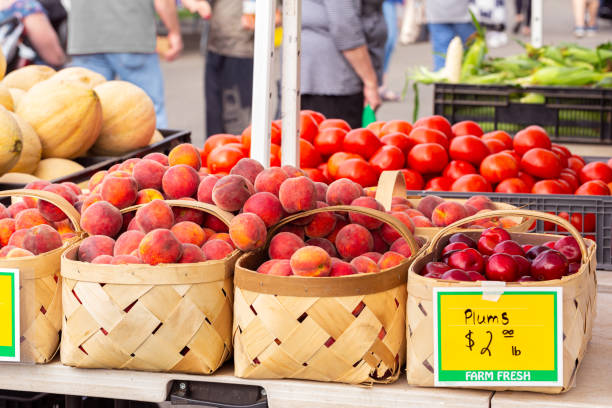 istock Local Summer Farmer's Market 1157977960