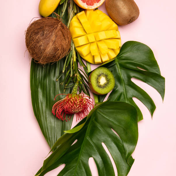 Creative flat lay with tropical fruits and plants stock photo