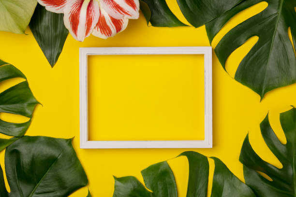istock Creative flat lay with tropical plant and white frame for your text 1157979893