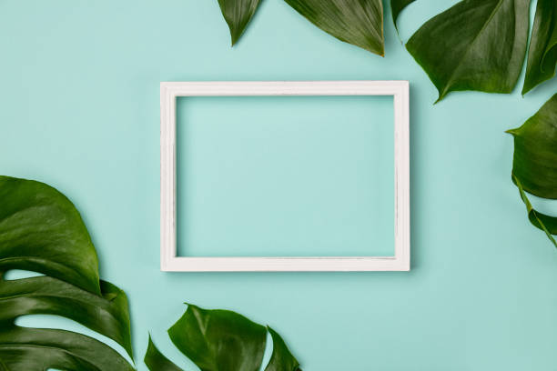 istock Creative flat lay with tropical plant and white frame for your text 1157979903