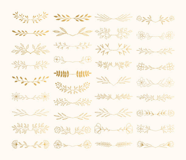 коллекция нарисованных вручную цветочных разделителей и виноградных лоз для праздничного дизайна. вектор изолирован. - crown frame gold swirl stock illustrations