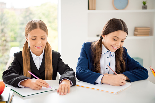 Portrait of two person nice attractive lovely winsome charming cute cheerful, cheery smart clever girls doing home work dictation Maths in light white interior class room indoors