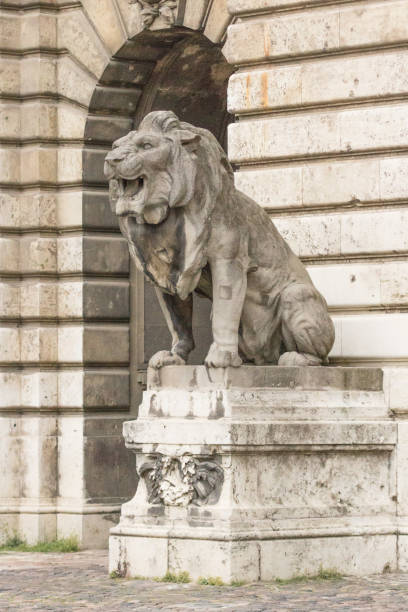 istock Stone lions of Budapest 1157986885