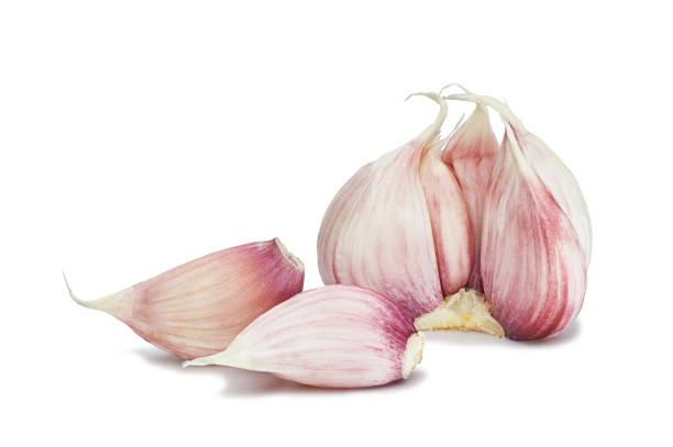 istock organic garlic isolated on white background 1157988399