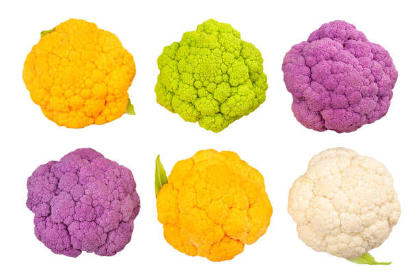 kolorowy kalafior - purple cauliflower zdjęcia i obrazy z banku zdjęć