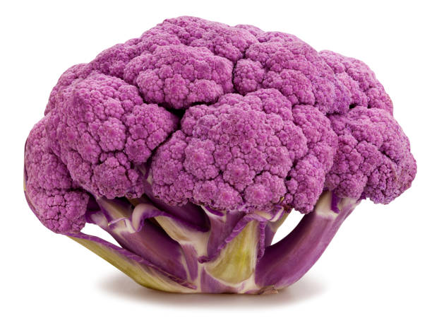 kolorowy kalafior - purple cauliflower zdjęcia i obrazy z banku zdjęć