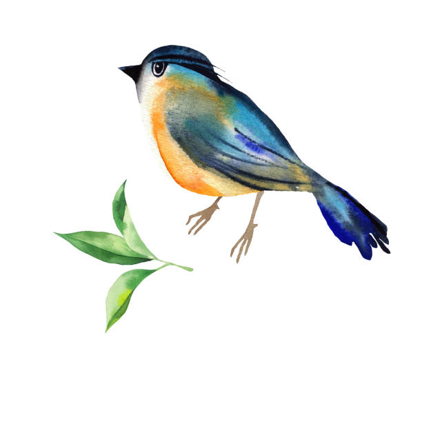 istock Hand painting birds and leaves watercolor 1157992456