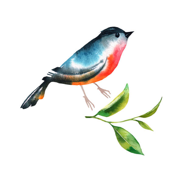 istock Hand painting birds and leaves watercolor 1157992596