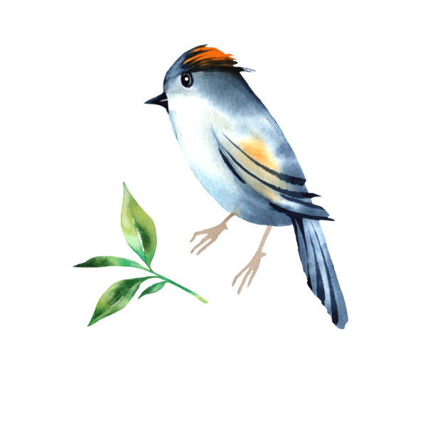 istock Hand painting birds and leaves watercolor 1157992606