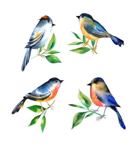 istock Hand painting birds and leaves watercolor 1157992611