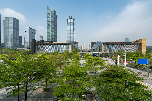 Luxuriant trees and modern urban architecture in Shenzhen, China