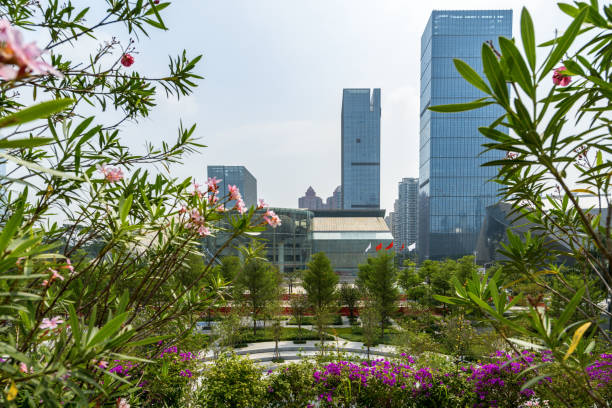 istock Luxuriant trees and modern urban architecture in Shenzhen, China 1157995798