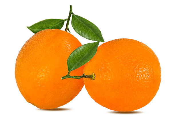 istock Orange leaf isolated on white background with clipping path 1158000321