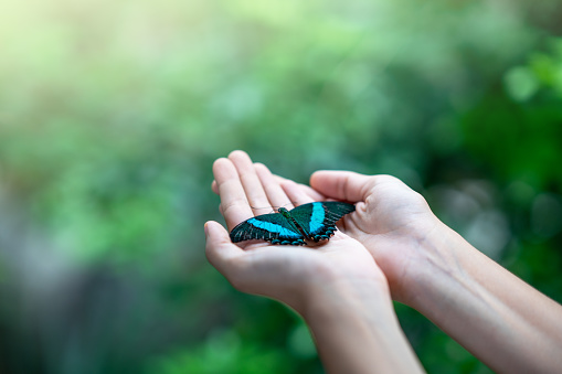 Butterfly on woman's hand against natural green background