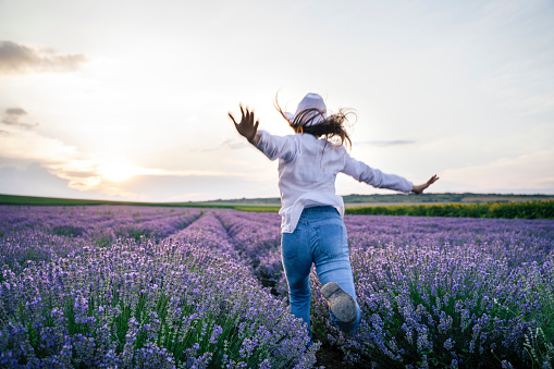 Solo Traveler Woman Walking In the Lavender Fields in Summer. Sunset on a Brightly Lit Day. Dressed in White Clothes and White Cowboy Hat. A Young Cheerful Girl Outdoors.