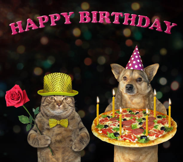 istock Dog and a cat with a holiday pizza 1158007579
