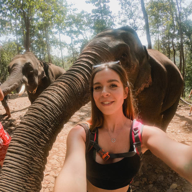 istock Selfie with Asian Elephants 1158008327