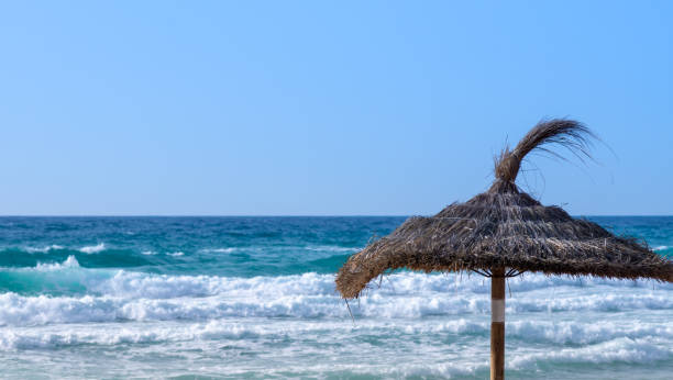 istock Thatched Roof At Beach Against Clear Sky 1158010200