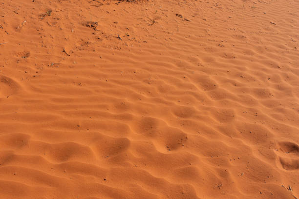 A close up of the sand in the Wadi Rum desert in Jordan. Its bright and saturated orange hue fascinates everybody that sees it. The color of the sand is also one of the reasons visits the Wadi Rum desert, among others.