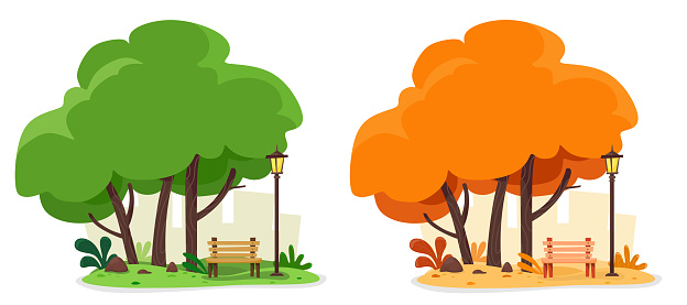 Summer and autumn illustration with a cozy shop and a street lamp for relaxing under the trees. Vector set of two illustrations on whit