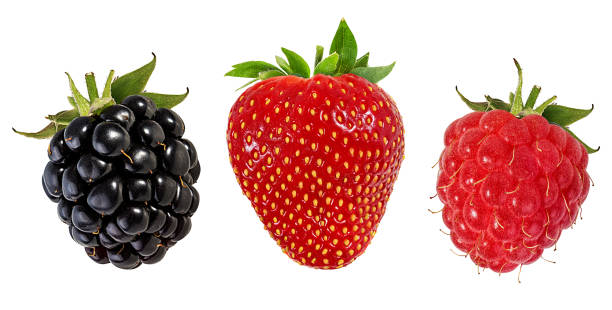 istock Berries collage isolated on white background with clipping path 1158013666