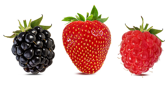 Berries collage isolated on white background with clipping path
