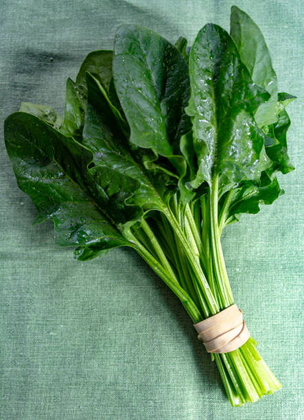 istock Bunch of green fresh organic spinach leaves 1158015815