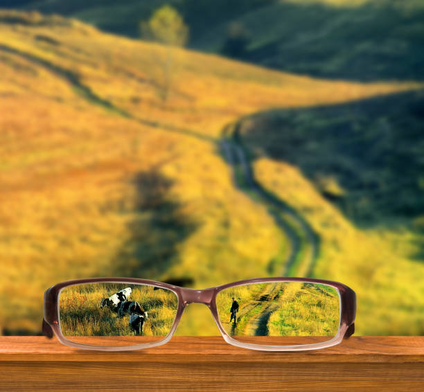 istock image of spectacles on rural landscape, cows and a shepherd 1158019241