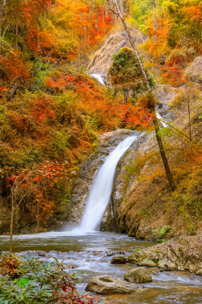 istock Waterfall in Chae Son National Park, Lampang, Thailand 1158019483