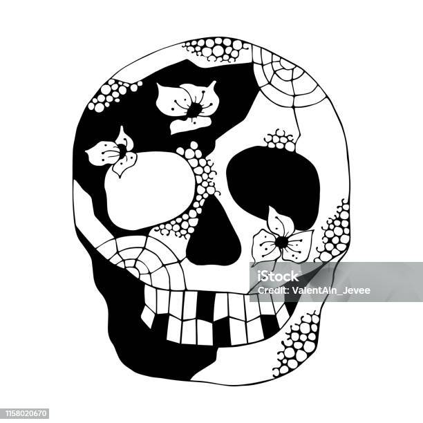 Vector Hand Drawn Black White Illustration Of Smiling Skull With Flowers Spider Web Tooth Face Of Human Print Horror For T Shirt Mexican Style Day Of The Dead Halloween Sketch Doodle Drawing Stock Illustration - Download Image Now