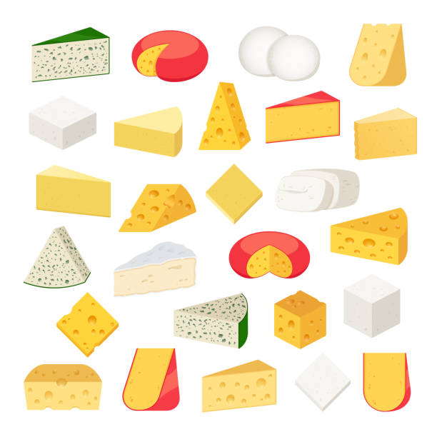 ilustraciones, imágenes clip art, dibujos animados e iconos de stock de vectores diferentes tipos de queso iconos detallados - queso