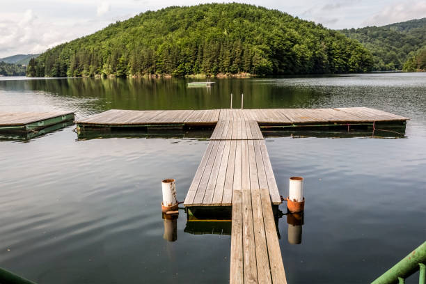 istock Goznuta lake, Romania 1158020941