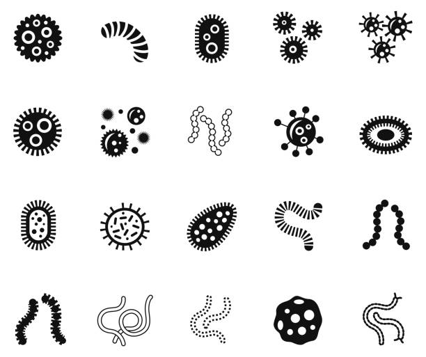 ilustraciones, imágenes clip art, dibujos animados e iconos de stock de conjunto de iconos de microbios - célula