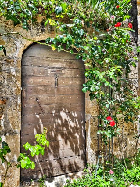 istock Mystery behind the door 1158029728
