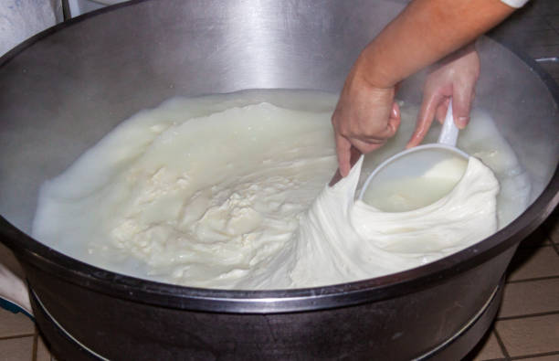 istock Craftsmanship of buffalo mozzarella 1158031318