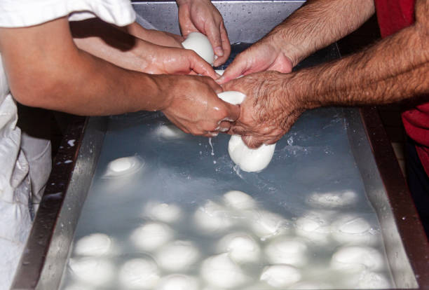 lavorazione artigianale della mozzarella di bufala - stabilimento caseario foto e immagini stock