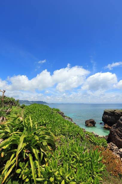 istock Beautiful beach in Okinawa. 1158031706