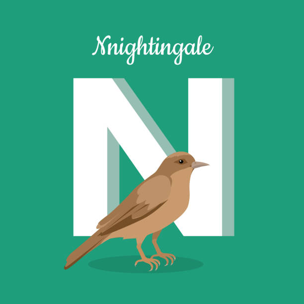 Animals Alphabet Letter N Stock Illustration - Download Image Now -  Nightingale - Bird, Alphabet, Animal Wildlife - iStock