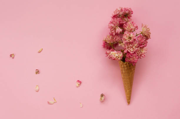 istock Fresh flowers in ice cream cone 1158037558