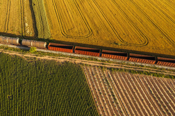 istock Rail freight transport, aerial view of train 1158038881