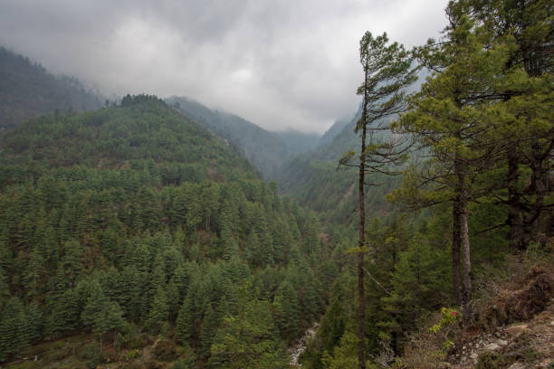 istock Green hills of Himalayas 1158039787